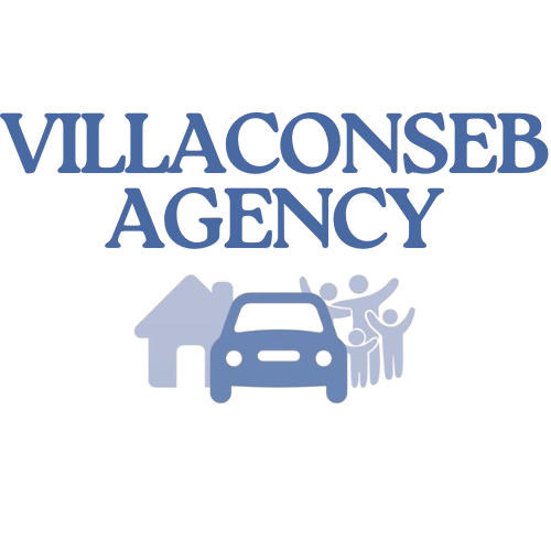 Villaconseb Agency